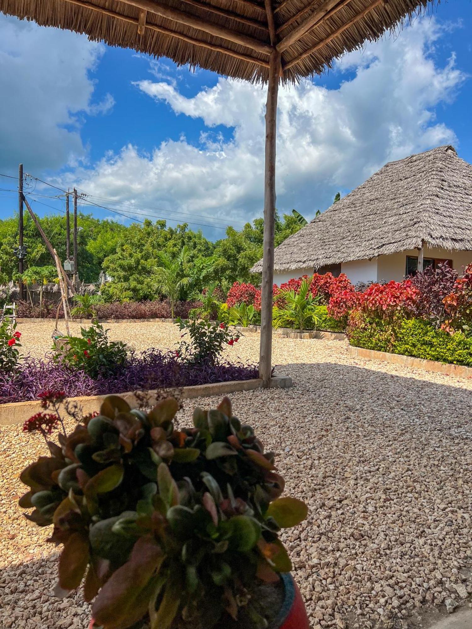 Kokopelli Bungalows Nungwi Exterior photo